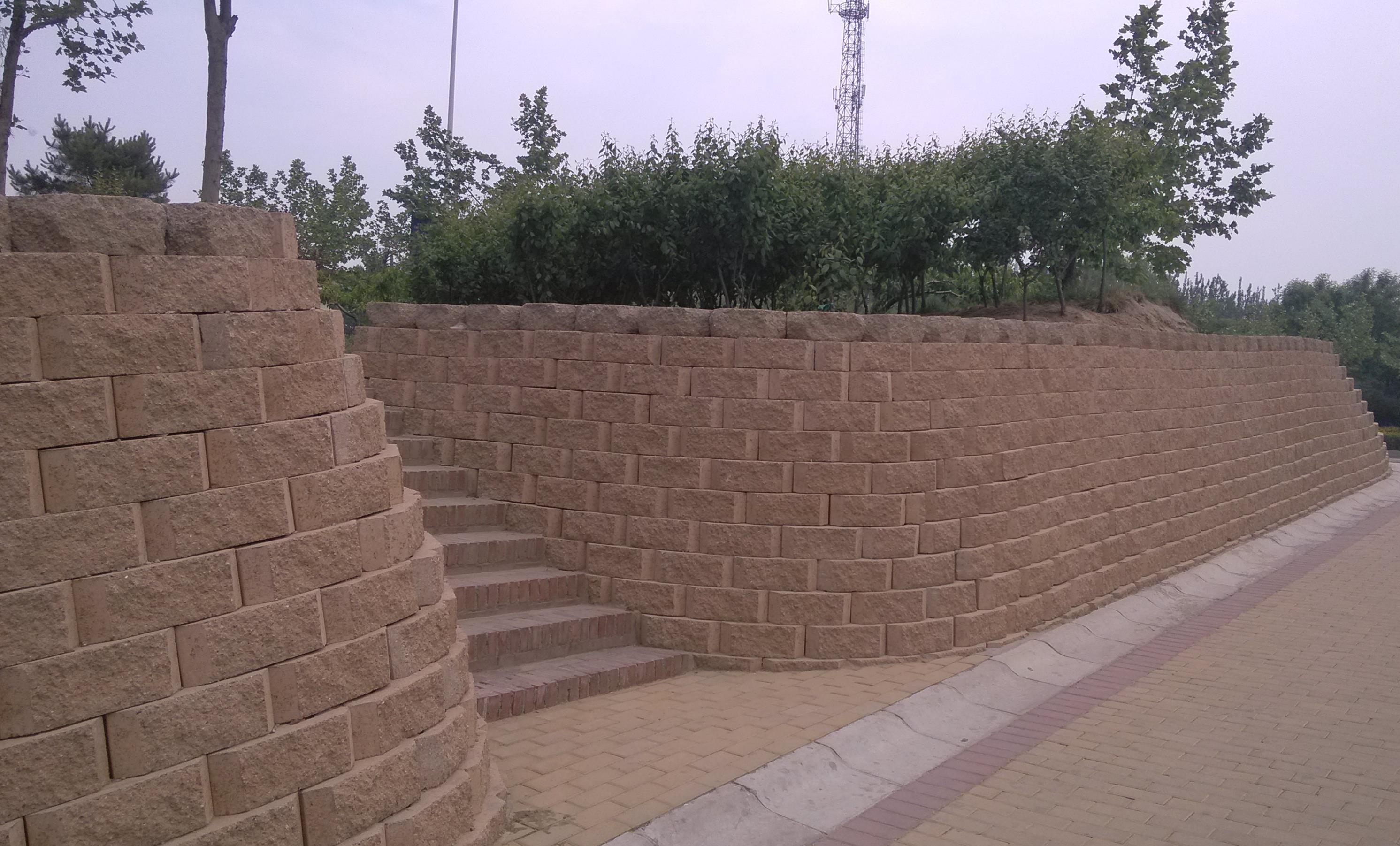 b_4263182202002151521584364.jpg b_4263182202002151521584364.jpg